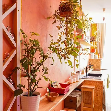 Lumineux, Minimaliste Et Vegetal *