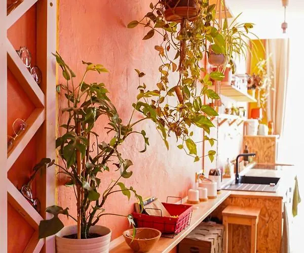 Lumineux, Minimaliste Et Vegetal *