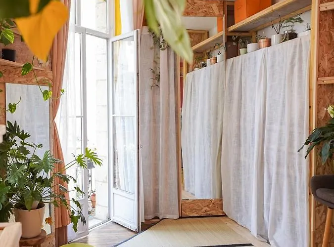 Lumineux, Minimaliste Et Vegetal