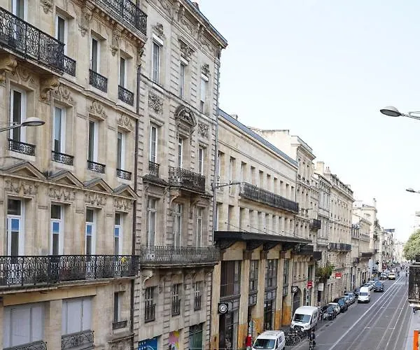 Lumineux, Minimaliste Et Vegetal Bordeaux
